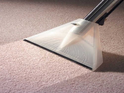 carpet cleaning