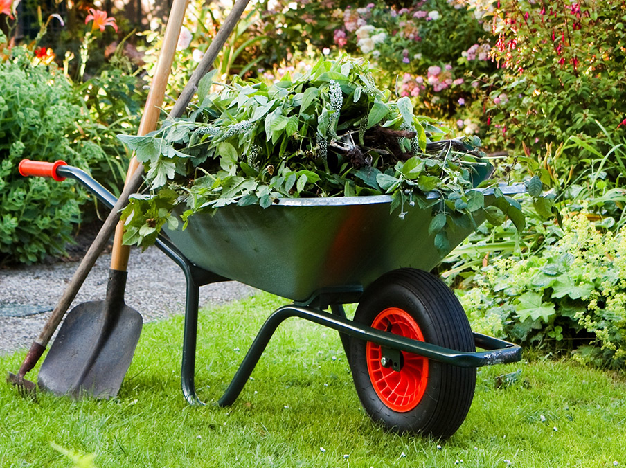 Gardening Services